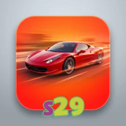 s29